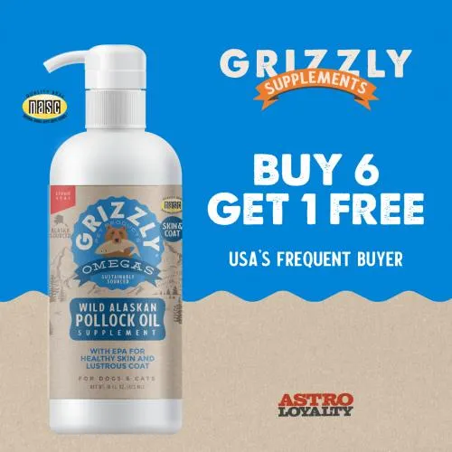 Promotion Image