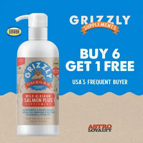 Promotion Image