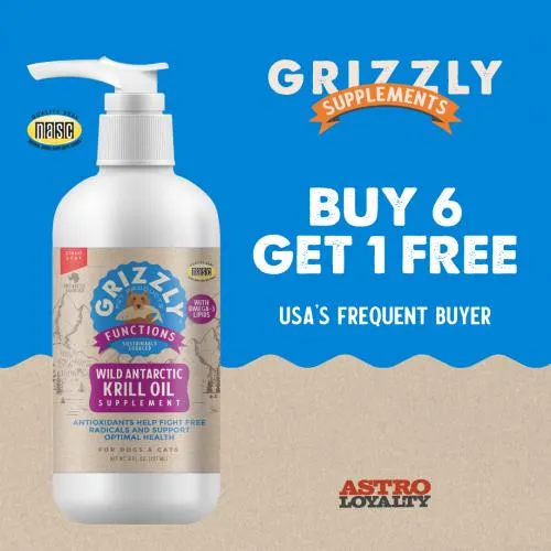 Promotion Image
