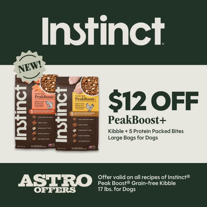 Promotion Image